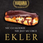 ekler